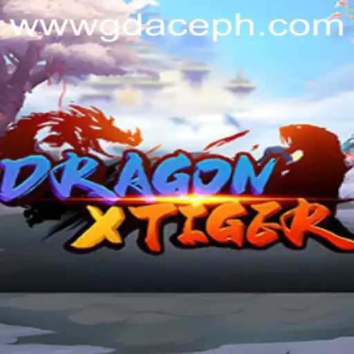 DragonXTiger: The Ultimate Gaming Experience